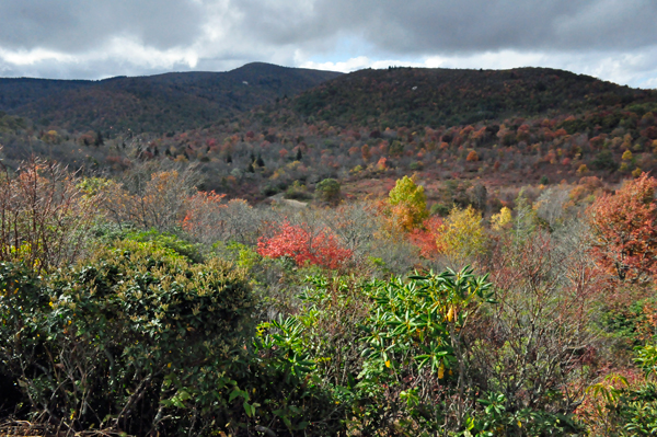 fall colors on The Blue Ridge Parkway